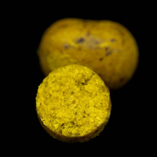 Solid Citrus - Dumbells